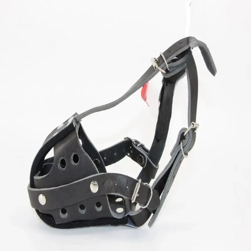Taktik Köpek Deri Eğitim Köpek - Leatherwork Training incelemesi ve fiyatı